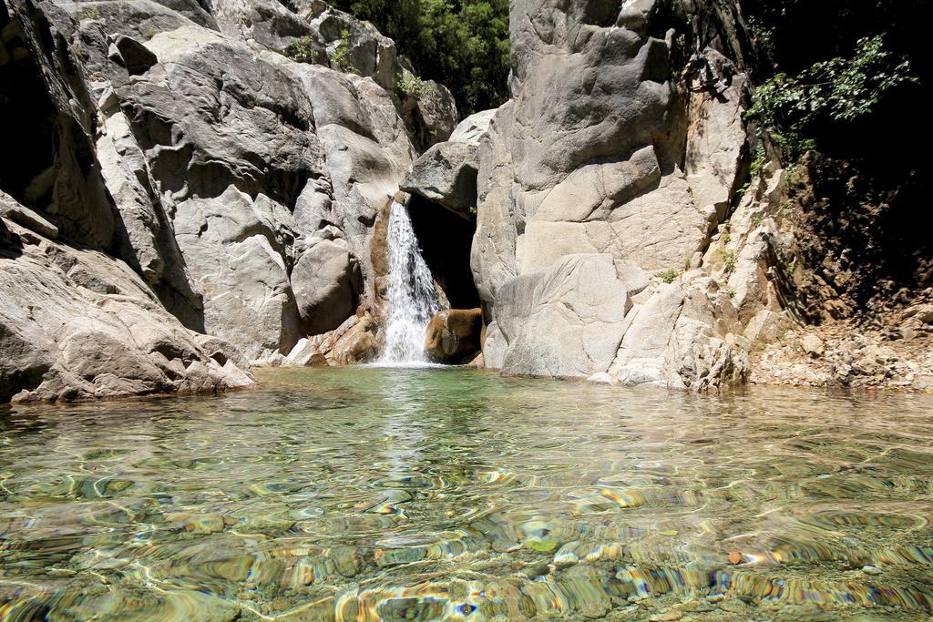 Gite Du Chalet Pietri Olivese Zewnętrze zdjęcie