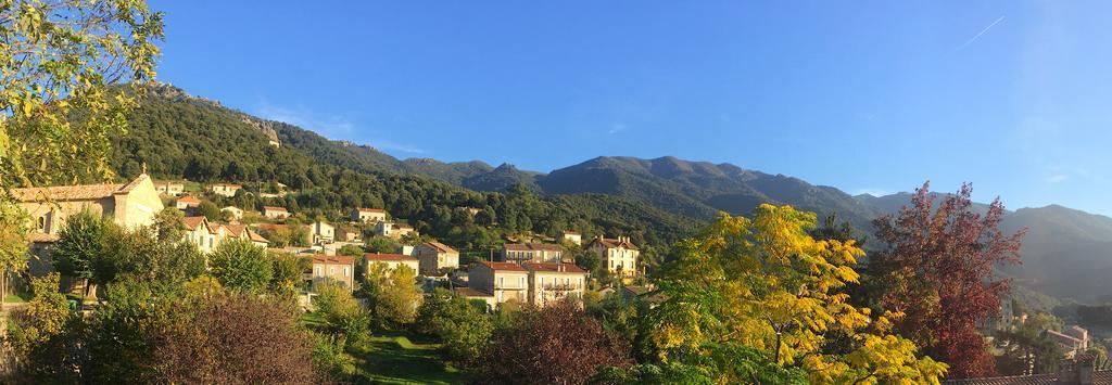 Gite Du Chalet Pietri Olivese Zewnętrze zdjęcie