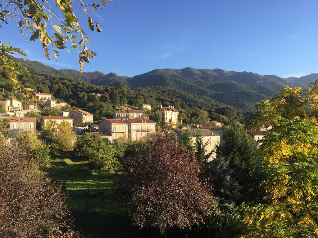 Gite Du Chalet Pietri Olivese Zewnętrze zdjęcie