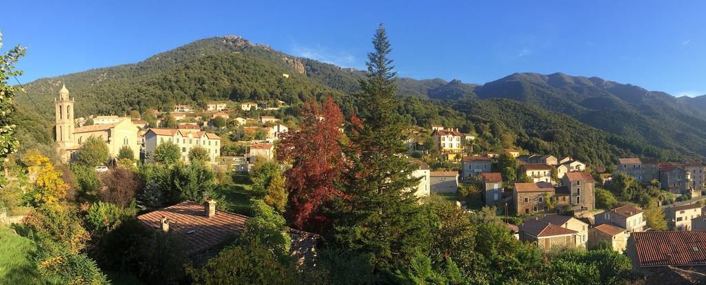 Gite Du Chalet Pietri Olivese Zewnętrze zdjęcie