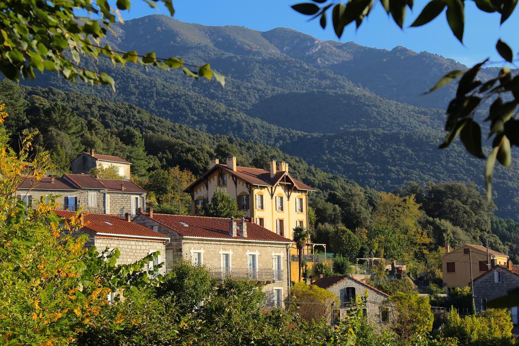 Gite Du Chalet Pietri Olivese Zewnętrze zdjęcie